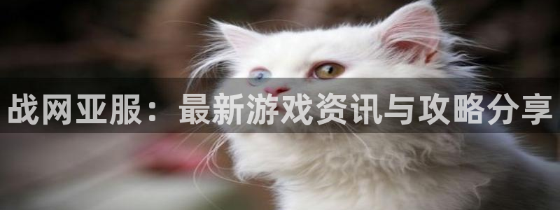 高德娛樂官方注冊登錄：戰網亞服：最新游戲資訊與攻略分享